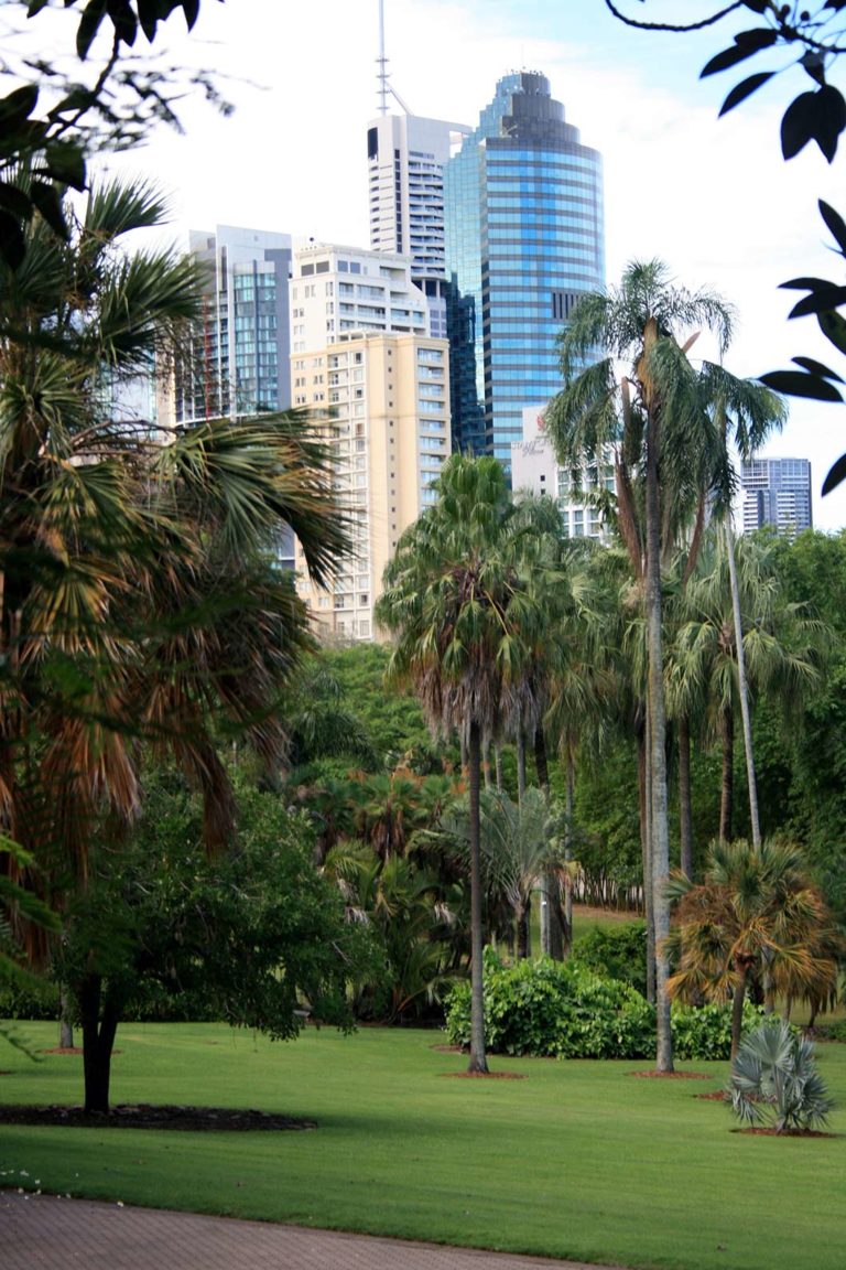 Sehenswürdigkeiten in Brisbane, Australien: Gardens Point Botanic Gardens