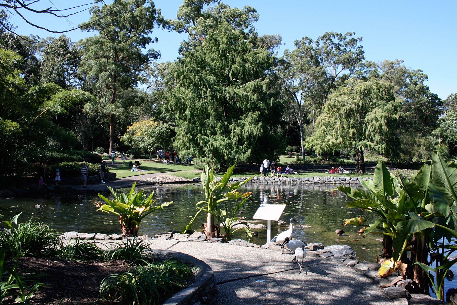 Sehenswürdigkeiten in Brisbane, Australien: Brisbane Botanic Gardens
