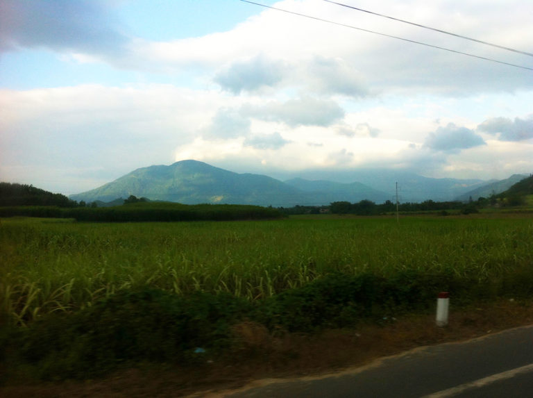 Vietnam Reisfelder; Reisetipps Vietnam Rundreise;