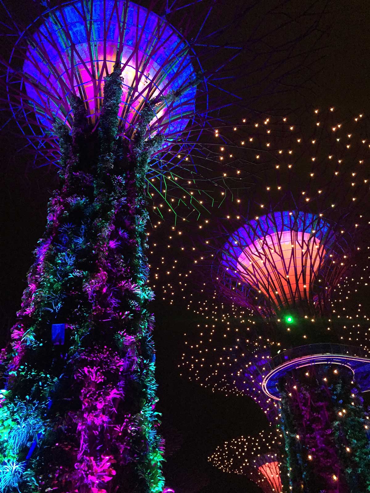 Sehenswürdigkeiten in Singapur; Supertrees, Gardens by the Bay
