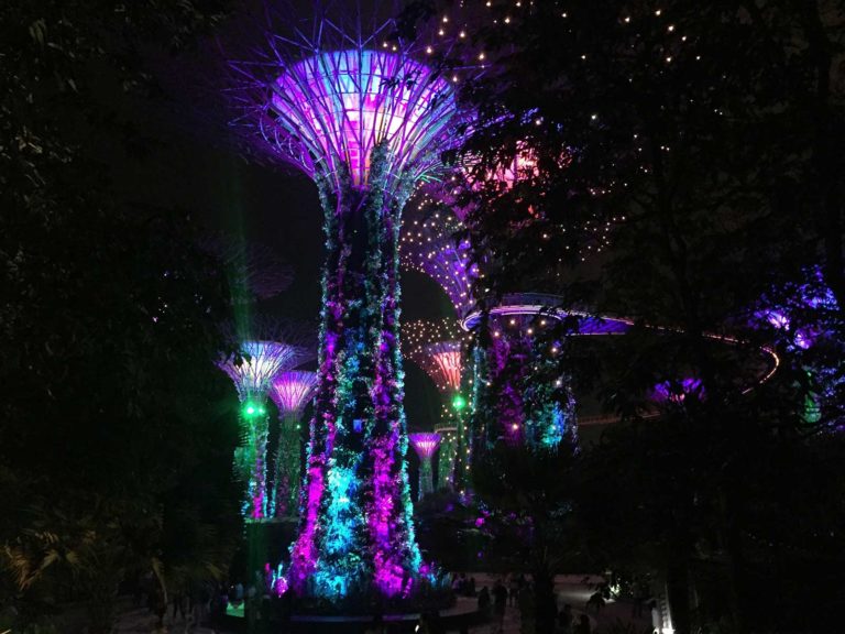 Sehenswürdigkeiten in Singapur; Supertrees, Gardens by the Bay