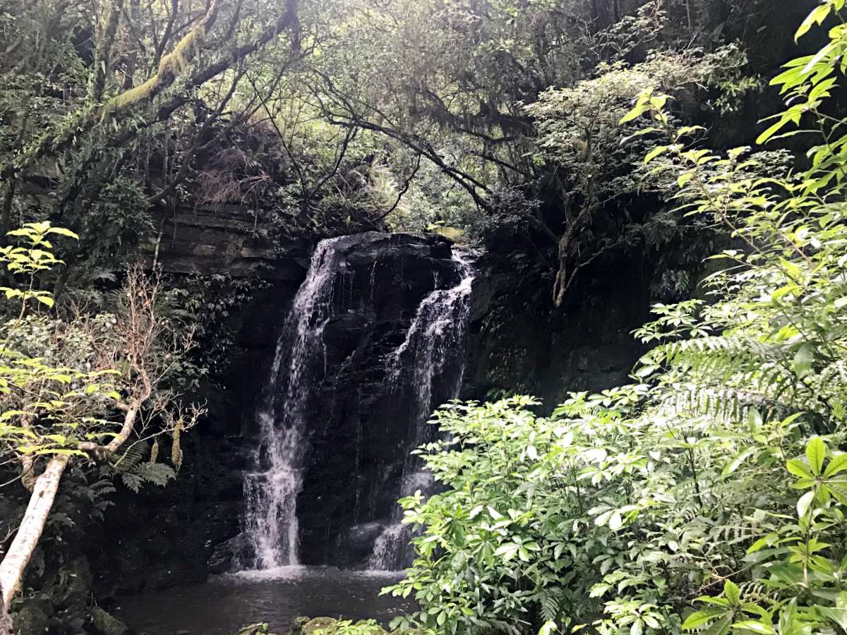 Roadtrip durch Neuseelands Südinsel: Matai Wasserfall