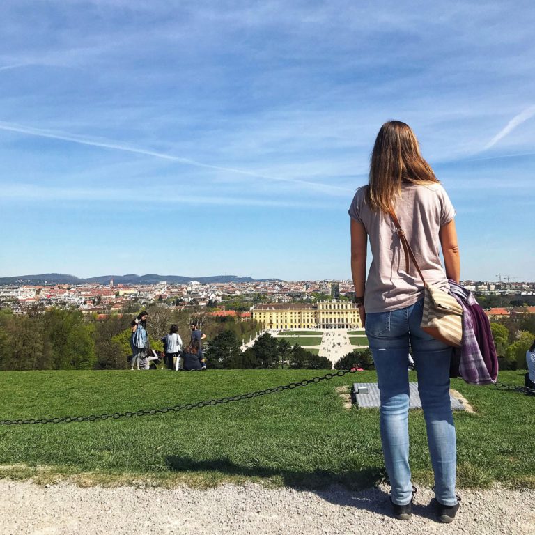 Wien Reisetipps: Blick von der Gloriette auf Schloss Schönbrunn
