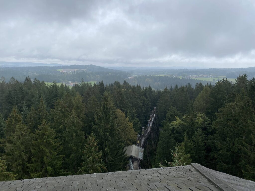 Baumkronenweg Österreich Aussicht Turm