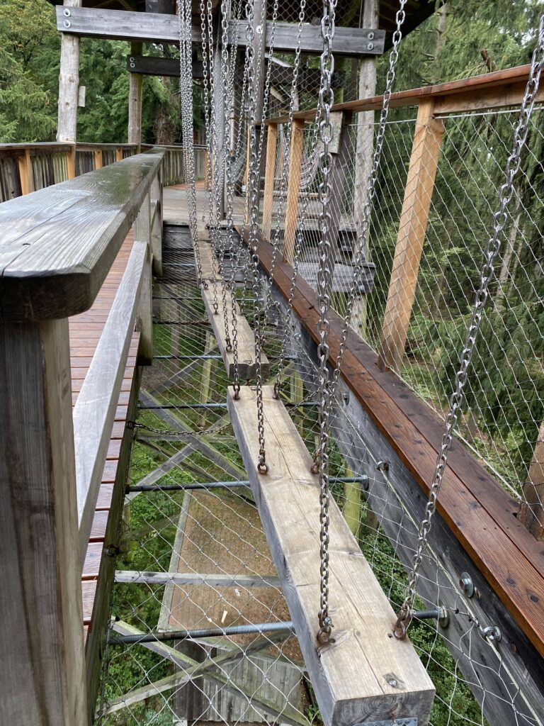 Tagesausflug Baumkronenweg Österreich Stationen