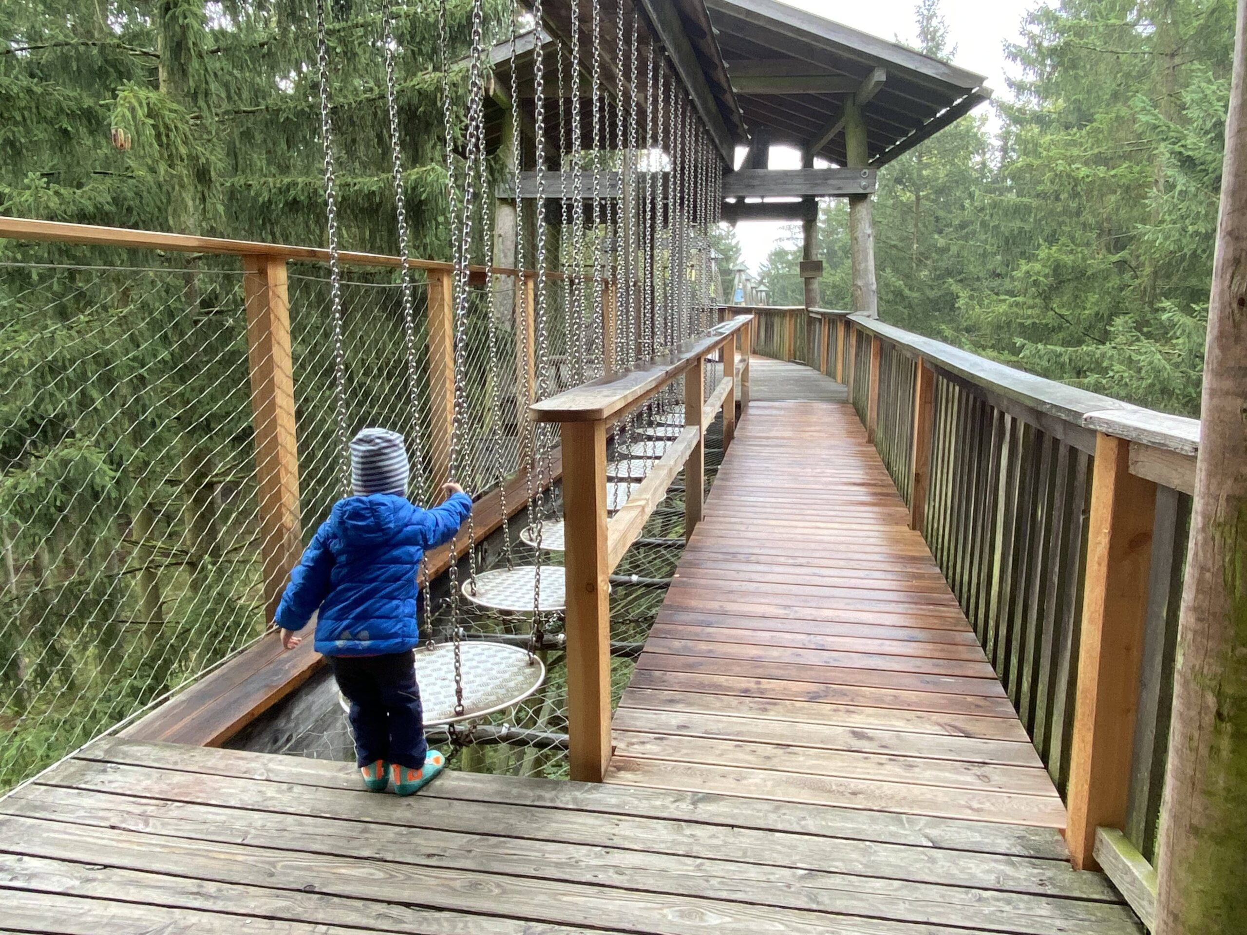 Tagesausflug mit Kindern zum Baumkronenweg in Österreich