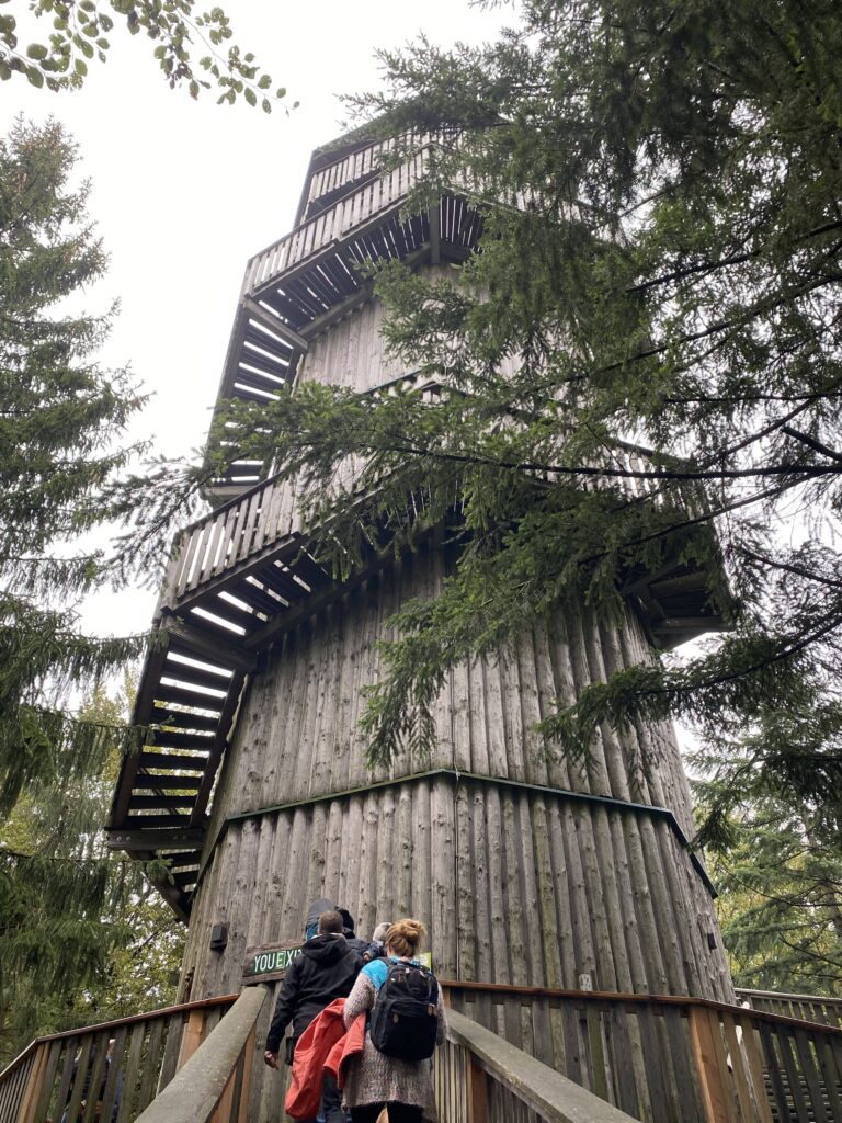 Tagesausflug Baumkronenweg Österreich Aussichtsturm